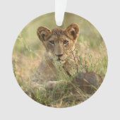 Kutest Baby Animals | Cute Baby Lion Cub Ornament (voorkant)