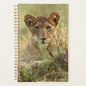 Kutest Baby Animals | Cute Baby Lion Cub Planner (Voorkant)