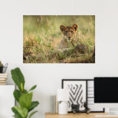 Kutest Baby Animals | Cute Baby Lion Cub Poster (Thuiskantoor)