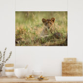 Kutest Baby Animals | Cute Baby Lion Cub Poster (Keuken)