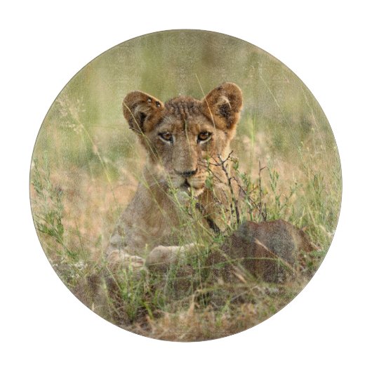 Kutest Baby Animals | Cute Baby Lion Cub Snijplank (Voorkant)