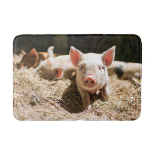 Kutest Baby Animals   Cute Baby Piglet Badmat