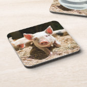 Kutest Baby Animals | Cute Baby Piglet Bier Onderzetter (Linkerzijde)