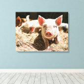 Kutest Baby Animals | Cute Baby Piglet Canvas Afdruk (Insitu (Houten vloer))