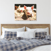 Kutest Baby Animals | Cute Baby Piglet Canvas Afdruk (Insitu (Slaapkamer))