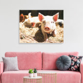 Kutest Baby Animals | Cute Baby Piglet Canvas Afdruk (Insitu (Woonkamer))