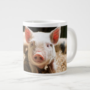 Kutest Baby Animals Cute Baby Piglet Grote Koffiekop