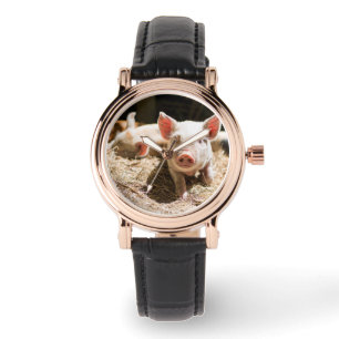 Kutest Baby Animals Cute Baby Piglet Horloge