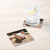 Kutest Baby Animals | Cute Baby Piglet Kartonnen Onderzetters (Insitu)