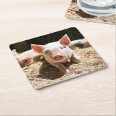 Kutest Baby Animals | Cute Baby Piglet Kartonnen Onderzetters (Schuin)