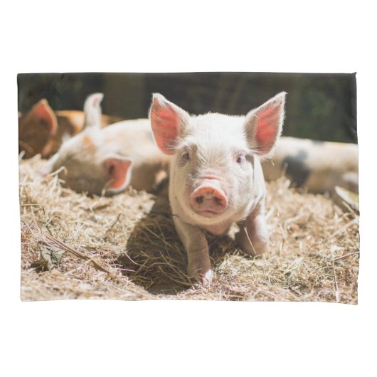 Kutest Baby Animals | Cute Baby Piglet Kussensloop (Voorkant)
