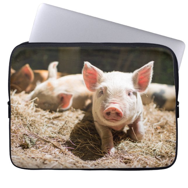 Kutest Baby Animals | Cute Baby Piglet Laptop Sleeve (Voorkant)