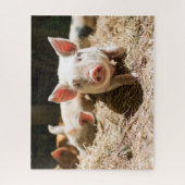 Kutest Baby Animals | Cute Baby Piglet Legpuzzel (Verticaal)