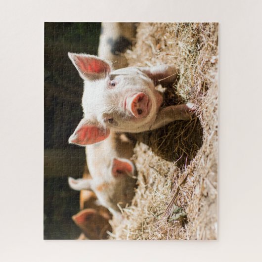 Kutest Baby Animals | Cute Baby Piglet Legpuzzel (Verticaal)