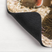 Kutest Baby Animals | Cute Baby Piglet Muismat (Hoek)