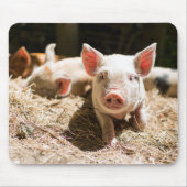 Kutest Baby Animals | Cute Baby Piglet Muismat (Voorkant)