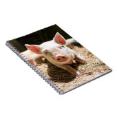 Kutest Baby Animals | Cute Baby Piglet Notitieboek (Rechterzijde)