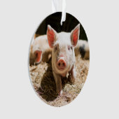 Kutest Baby Animals | Cute Baby Piglet Ornament (voorkant)