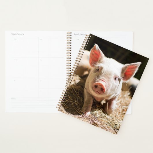 Kutest Baby Animals | Cute Baby Piglet Planner (Display)