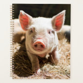 Kutest Baby Animals | Cute Baby Piglet Planner (Voorkant)