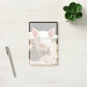 Kutest Baby Animals Cute Baby Piglet Post-it® Notes