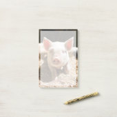 Kutest Baby Animals | Cute Baby Piglet Post-it® Notes (Op bureau)
