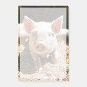 Kutest Baby Animals | Cute Baby Piglet Post-it® Notes (Voorkant)
