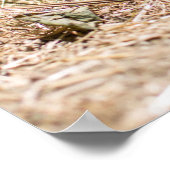 Kutest Baby Animals | Cute Baby Piglet Poster (Hoek)