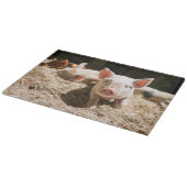 Kutest Baby Animals | Cute Baby Piglet Snijplank (Hoek)