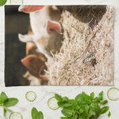 Kutest Baby Animals | Cute Baby Piglet Theedoek (Gevouwen)