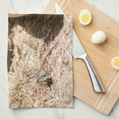 Kutest Baby Animals | Cute Baby Piglet Theedoek (Quarter Fold)