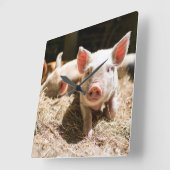 Kutest Baby Animals | Cute Baby Piglet Vierkante Klok (Hoek)