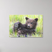 Kutest Baby Animals | Cute Brown Beer Cub-spellen Canvas Afdruk (Voorkant)