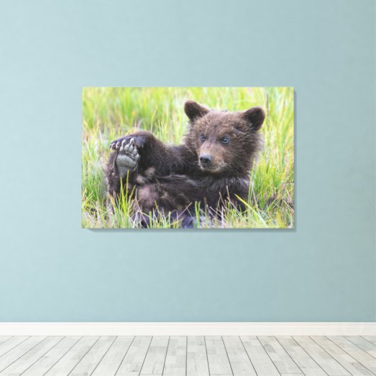 Kutest Baby Animals | Cute Brown Beer Cub-spellen Canvas Afdruk (Insitu (Houten vloer))