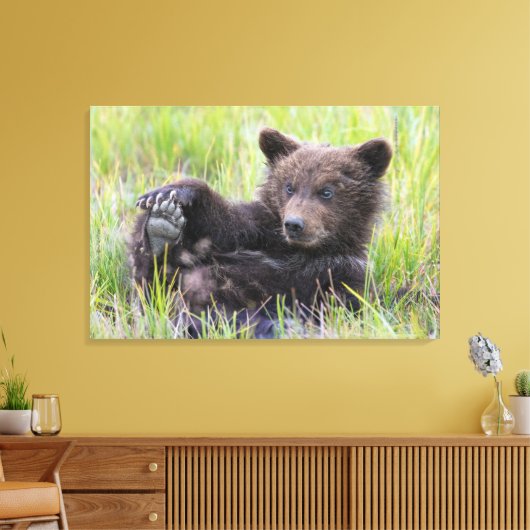 Kutest Baby Animals | Cute Brown Beer Cub-spellen Canvas Afdruk (Insitu (Woonkamer))