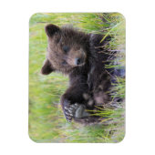 Kutest Baby Animals | Cute Brown Beer Cub-spellen Magneet (Verticaal)