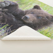Kutest Baby Animals | Cute Brown Beer Cub-spellen Sherpa Deken (3/4)