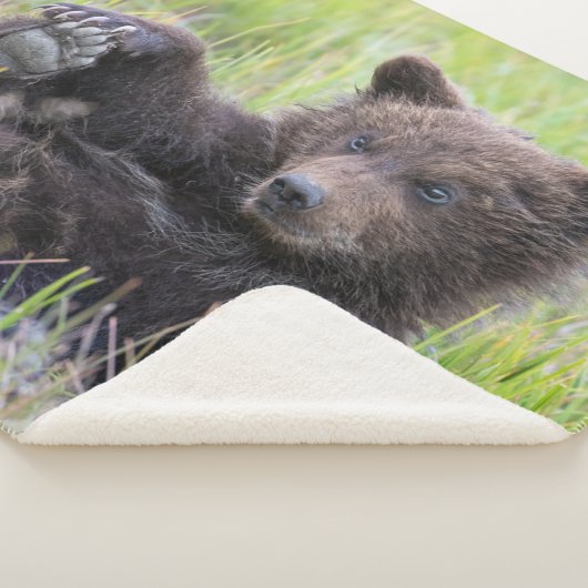 Kutest Baby Animals | Cute Brown Beer Cub-spellen Sherpa Deken (3/4)