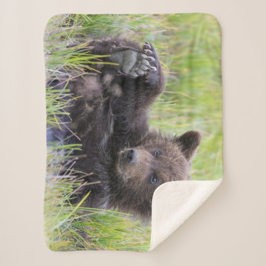 Kutest Baby Animals | Cute Brown Beer Cub-spellen Sherpa Deken (Voorkant)