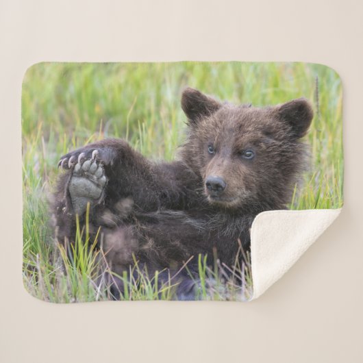 Kutest Baby Animals | Cute Brown Beer Cub-spellen Sherpa Deken (Voorkant (horizontaal))
