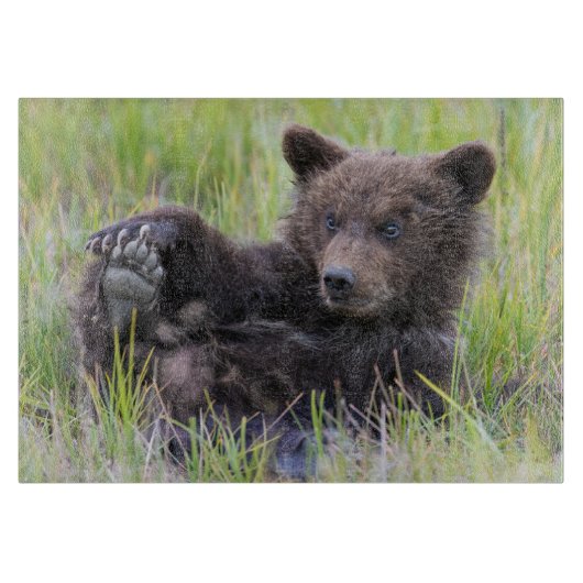 Kutest Baby Animals | Cute Brown Beer Cub-spellen Snijplank (Voorkant)