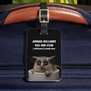 Kutest Baby Animals Cute Bushbaby Bagagelabel