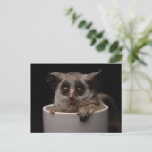 Kutest Baby Animals | Cute Bushbaby Briefkaart (Staand voorkant)