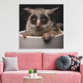 Kutest Baby Animals | Cute Bushbaby Canvas Afdruk (Insitu (Woonkamer))