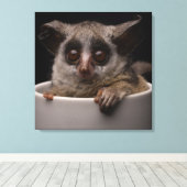 Kutest Baby Animals | Cute Bushbaby Canvas Afdruk (Insitu (Houten vloer))