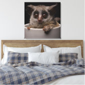 Kutest Baby Animals | Cute Bushbaby Canvas Afdruk (Insitu (Slaapkamer))