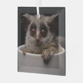 Kutest Baby Animals | Cute Bushbaby Glas Ornament (Voorkant links)