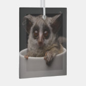 Kutest Baby Animals | Cute Bushbaby Glas Ornament (Voorkant Rechts)