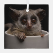 Kutest Baby Animals | Cute Bushbaby Glas Ornament (Achterkant)
