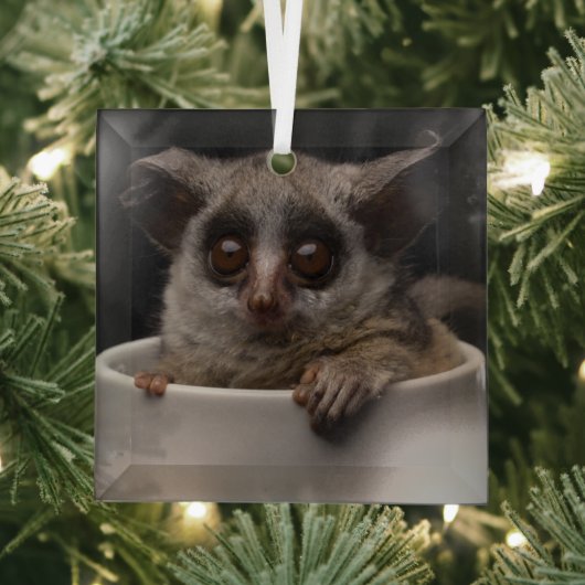 Kutest Baby Animals | Cute Bushbaby Glas Ornament (Insitu)